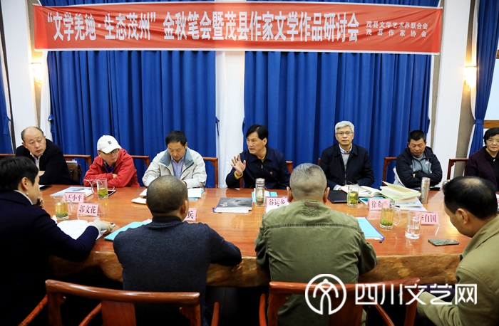 研讨会现场。何清海 摄_副本.jpg