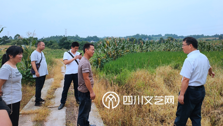 到花椒种植大户王术辉的产业基地现场调研_副本.jpg