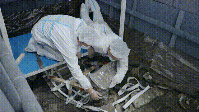 7.gif