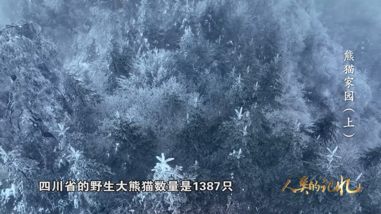 640 (2).png