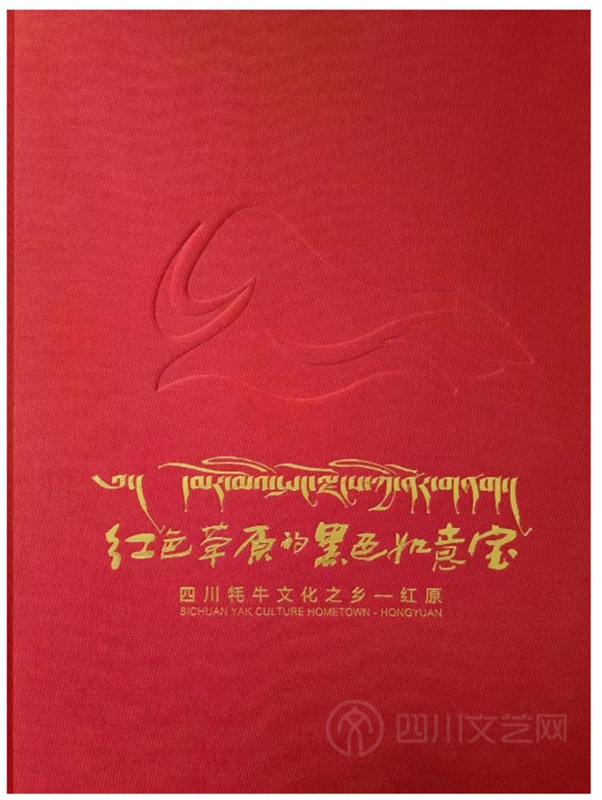 四川民间文艺之乡丛书_副本_副本.jpg